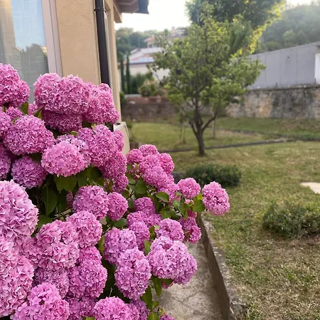 Holiday home Casa Alle Pratoline
