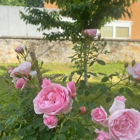 Casa Alle Pratoline Muggia