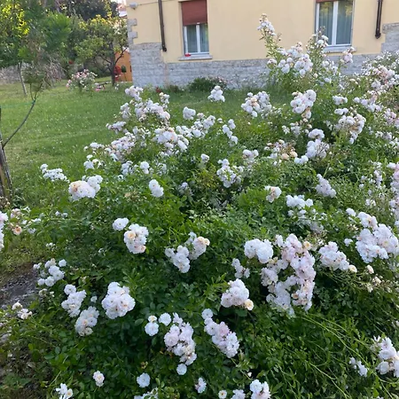 Casa Alle Pratoline Covered Parking For Bicycles And Motorcycles * Múggia