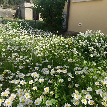 Holiday home Casa Alle Pratoline *