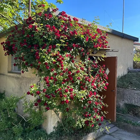 Alle Pratoline Spaziosa Vicino Trieste E Mare Con Deposito Bici E Moto Coperto Holiday home *